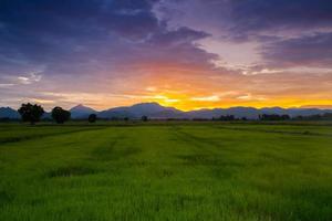 bunter Sonnenuntergang über einem grünen Feld foto