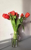 Strauß frisch rot Tulpen mit Grün Blätter im Glas Vase auf Weiß Mauer Hintergrund mit Schatten. März 8 Damen Tag. Mütter Tag. Oma Tag. glücklich Geburtstag. Vertikale Bild. foto