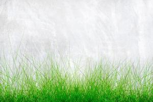 frisch Grün Gras und Mauer hintergrund.space zum Text foto