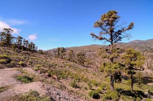 trocken felsig Landschaft foto