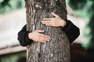 zufrieden jung Frau umarmen ein groß Baum mit ein glückselig Ausdruck foto