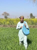 Pakistan Farmer Verbreitung Dünger im das Landwirtschaft Feld foto