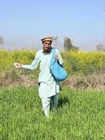 Pakistan Farmer Verbreitung Dünger im das Landwirtschaft Feld foto