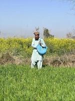 Pakistan Farmer Verbreitung Dünger im das Landwirtschaft Feld foto