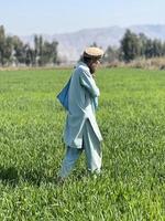 Pakistan Farmer Verbreitung Dünger im das Landwirtschaft Feld foto