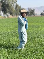 Pakistan Farmer Verbreitung Dünger im das Landwirtschaft Feld foto