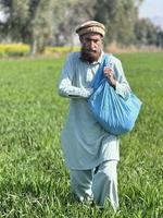 Pakistan Farmer Verbreitung Dünger im das Landwirtschaft Feld foto