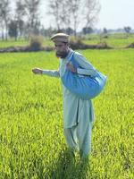 Pakistan Farmer Verbreitung Dünger im das Landwirtschaft Feld foto