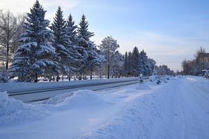 Winter Straße, Weihnachten Bäume im das Schnee. ein Spur im ein Winter Schnee Szene. schneebedeckt, Abend. foto