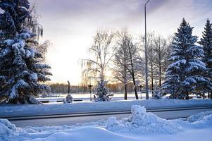 Winter Straße, Weihnachten Bäume im das Schnee. ein Spur im ein Winter Schnee Szene. schneebedeckt, Abend. foto