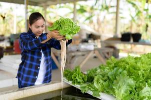 Farmer Frau Pflege Hydrokultur Gemüse Parzelle, organisch Gemüse foto