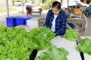 Farmer Frau Pflege Hydrokultur Gemüse Parzelle, organisch Gemüse foto