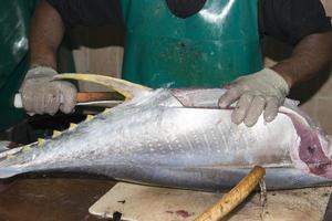 männlich Indien Fisch Markt foto