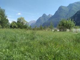 schön Berge bedeckt Bäume foto