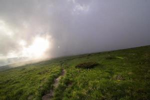 tief liegend Nebel über Gras Hügel Landschaft Foto
