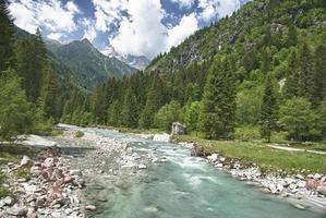 ein bach auf gebirgshintergrund foto