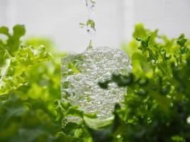 ein Glas von Wasser bedeckt mit Grün Gemüse Das leuchtet runter. Gesundheit Pflege Sauberkeit und Sicherheit zum Verbrauch foto