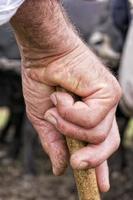 alt Farmer Hand halten ein Stock foto