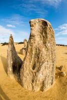 Pinnacles Park in Westaustralien foto