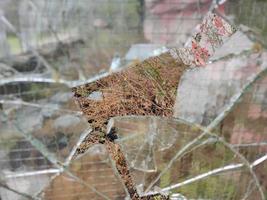 Gewehrkugel zerbrochenes Fensterglas foto