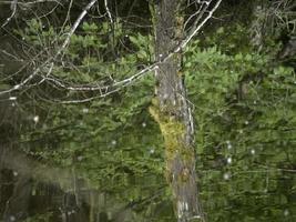 liveto see piemont italien wasserreflexion foto