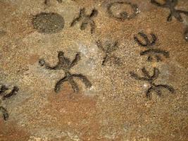 nuragisch Stein Alter alt Petroglyphen Runen Schriften Innerhalb Meer Ochsen Grotten Sardinien foto