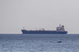 cuvier Schnabel Wal in der Nähe von Öl Tanker Schiff foto