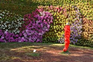 genua, italien - 27. april 2017 - euroflora kehrt nach genua im einzigartigen szenario der nervi parks zurück foto