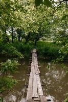 eine kleine Holzbrücke über einen milden Bach in einem grünen Park. foto