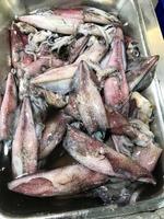 frisch Garnele und Tintenfisch angezeigt im Supermarkt foto