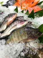 frisch rot Tilapia Fisch wie bekannt wie ikan Nila. roh Nil Fisch foto