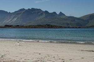 Weißer Sandstrand der Lofoten-Insel foto