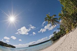 polynesisch Paradies Weiß Sand Strand mit Kokosnuss Baum foto