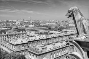 notre dame gorgoyle paris ansicht stadtbild foto