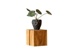 330 hölzern Seite Tabelle mit ein schwarz Vase und Pflanze isoliert auf ein transparent Hintergrund foto