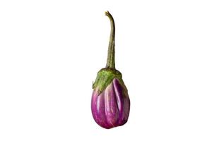 3140 Gemüse lila Aubergine isoliert auf ein transparent Hintergrund foto