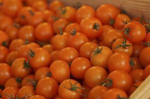 Tomaten in Holzkiste foto