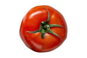 3740 Tomate Gemüse isoliert auf ein transparent Hintergrund foto