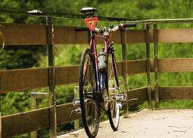 schnell Fahrrad im das Park von zurück Seite Aussicht foto