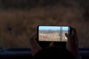 Safari Fotograf nehmen Bild von Löwe beim Nacht im Krüger Park Süd Afrika foto