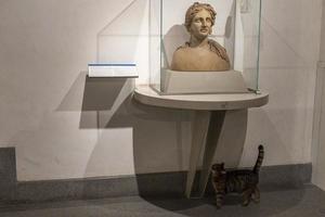 Rom, Italien - - November 21 2019 - - ein Katze Leben Innerhalb epigraphisch Museum foto