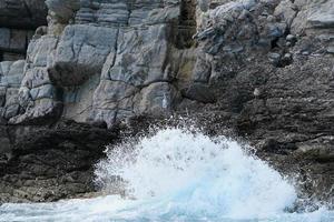 europäisch Shag Zwerg Koromorant Phalacrocorax Vogel foto