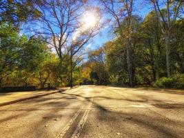 Central Park im Herbst an einem sonnigen Tag