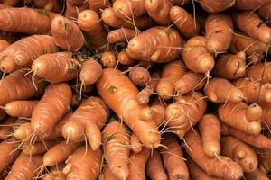 Haufen Karotten foto