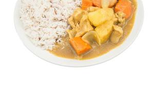 japanisch Hähnchen Curry auf isoliert Hintergrund. japanisch Curry ist ein dick Curry mit ein eintopfartig Konsistenz und häufig beinhaltet ein Eiweiß, Süss Zwiebeln, Möhren, und Kartoffeln. foto