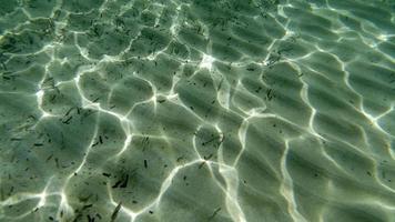 Sandboden-Unterwasserschwimmen in der türkisfarbenen Lagune foto