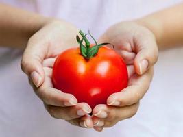 Hände halten eine rote Tomate foto