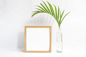 leerer Rahmen mit Pflanze auf weißem Hintergrund