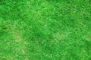 natürlich Grün Gras Textur. perfekt Golf oder Fußball Feld Hintergrund. oben Aussicht foto