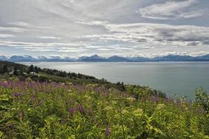 Blick auf den Vulkan Homer Alaska foto